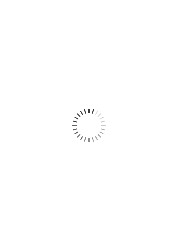 1140 x 810 px ( white front)
